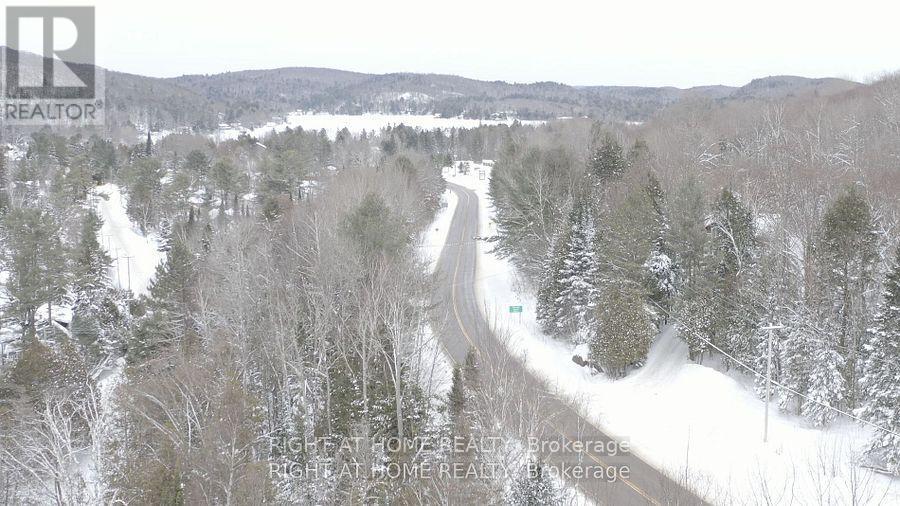 22382 Highway 35 Highway, Lake Of Bays, Ontario  P0A 1E0 - Photo 15 - X12383818