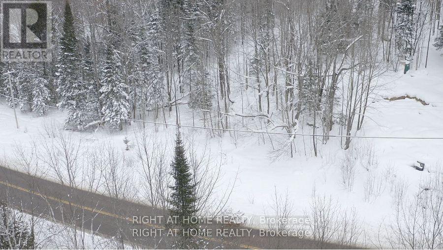 22382 Highway 35 Highway, Lake Of Bays, Ontario  P0A 1E0 - Photo 3 - X12383818