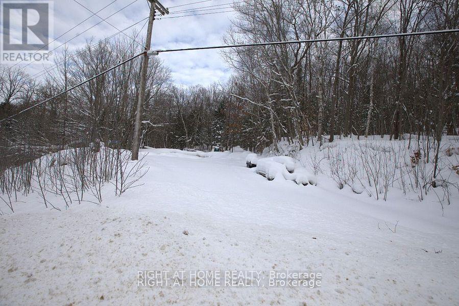 22382 Highway 35 Highway, Lake Of Bays, Ontario  P0A 1E0 - Photo 6 - X12383818