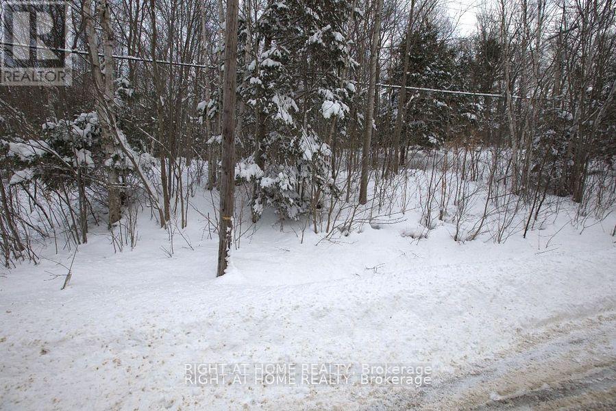 22382 Highway 35 Highway, Lake Of Bays, Ontario  P0A 1E0 - Photo 7 - X12383818