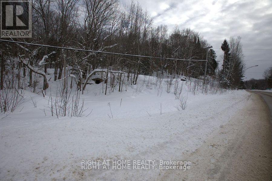 22382 Highway 35 Highway, Lake Of Bays, Ontario  P0A 1E0 - Photo 9 - X12383818