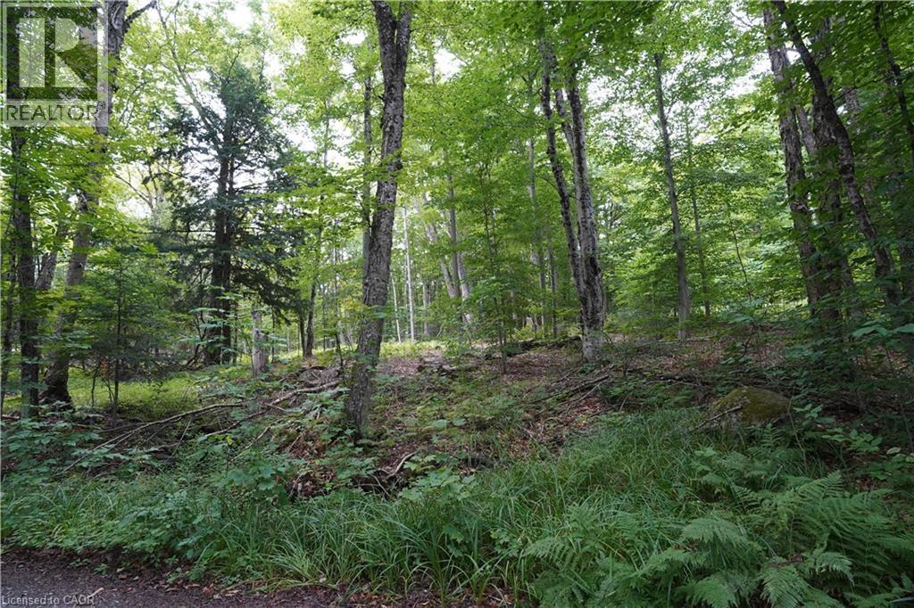 N/a Fader Drive, Stanhope, Ontario  K0M 1J1 - Photo 9 - 40763713