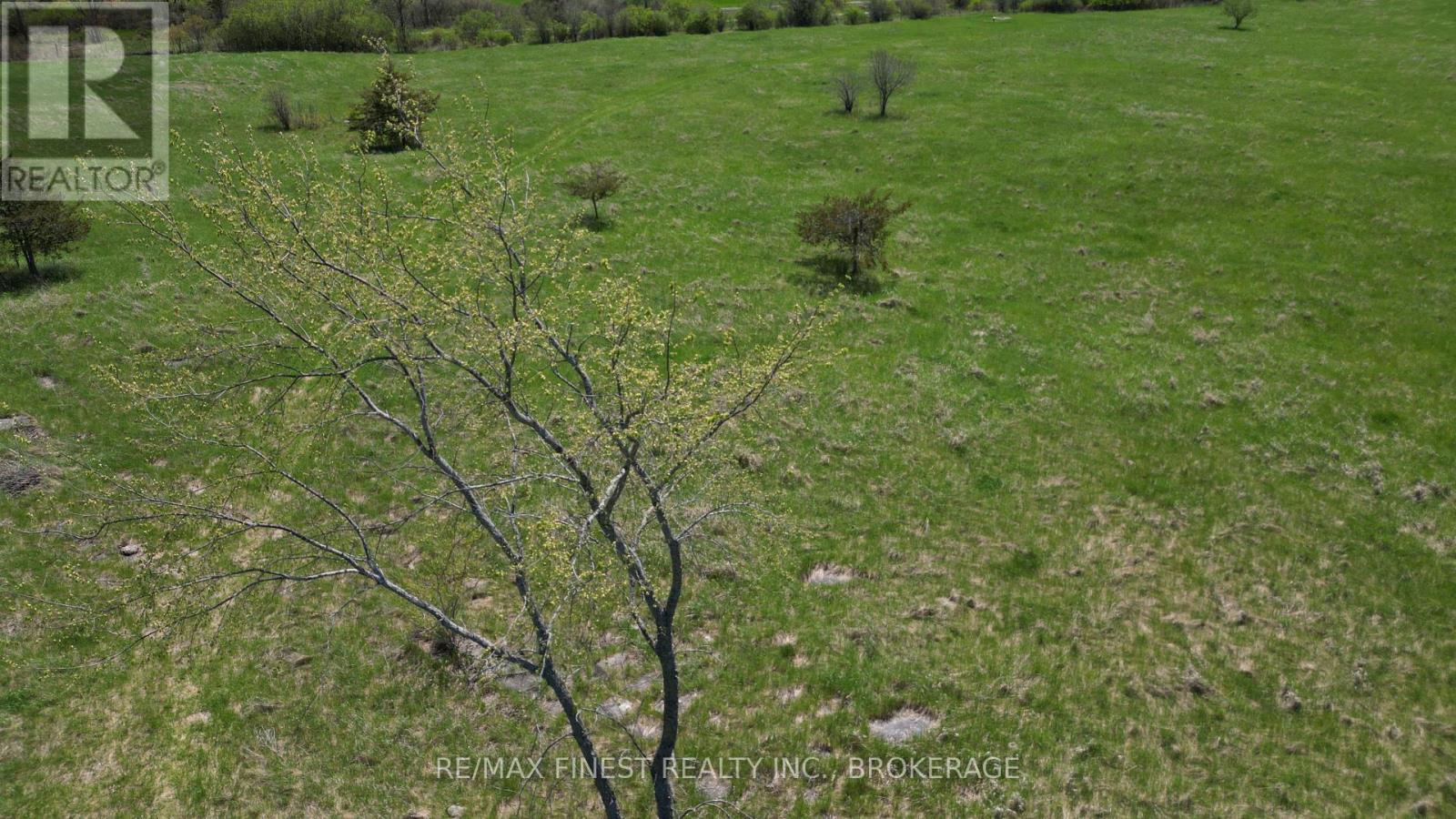 Lot 21 County Road 17 Road, Stone Mills, Ontario  K7R 3L2 - Photo 6 - X12384166