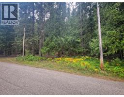 Lot A Maclure Avenue, salmo, British Columbia
