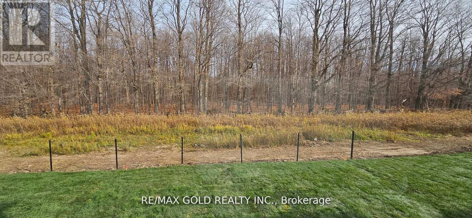 500 Black Cherry Crescent, Shelburne, Ontario  L9V 1Y3 - Photo 25 - X12384025