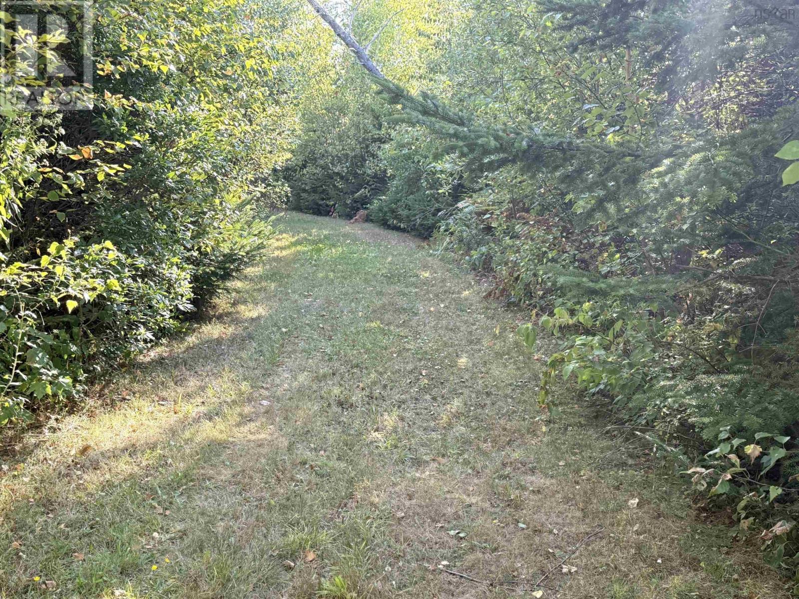3 Island Rd Extension, Malagash, Nova Scotia  B0K 1E0 - Photo 7 - 202522520