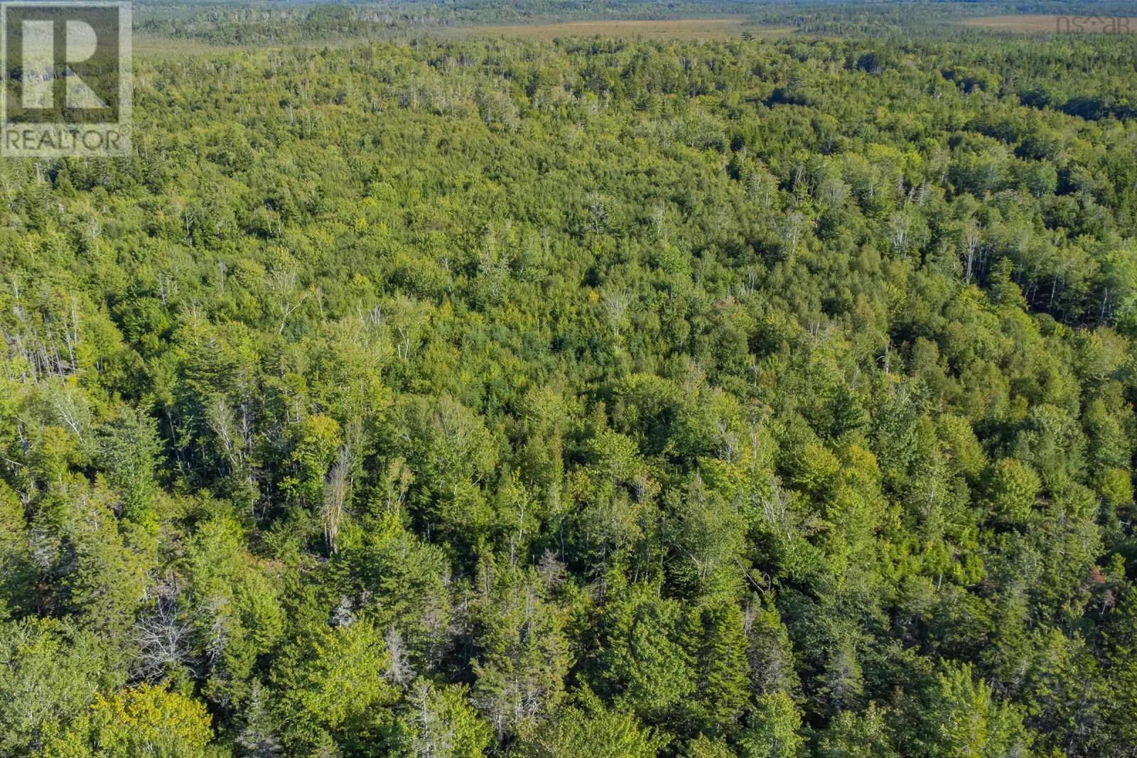Lot Ruel Du Lac Gaspereau, Mayflower, Nova Scotia  B0W 2Y0 - Photo 4 - 202522519