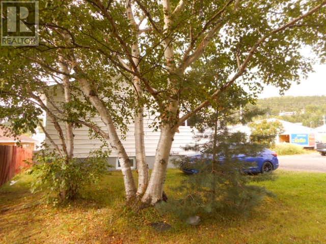 165a Main Street, Springdale, Newfoundland & Labrador  A0J 1T0 - Photo 2 - 1290058