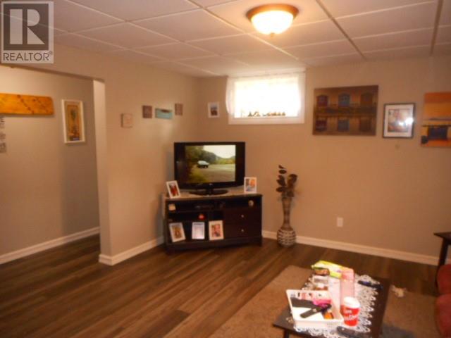 165a Main Street, Springdale, Newfoundland & Labrador  A0J 1T0 - Photo 8 - 1290058