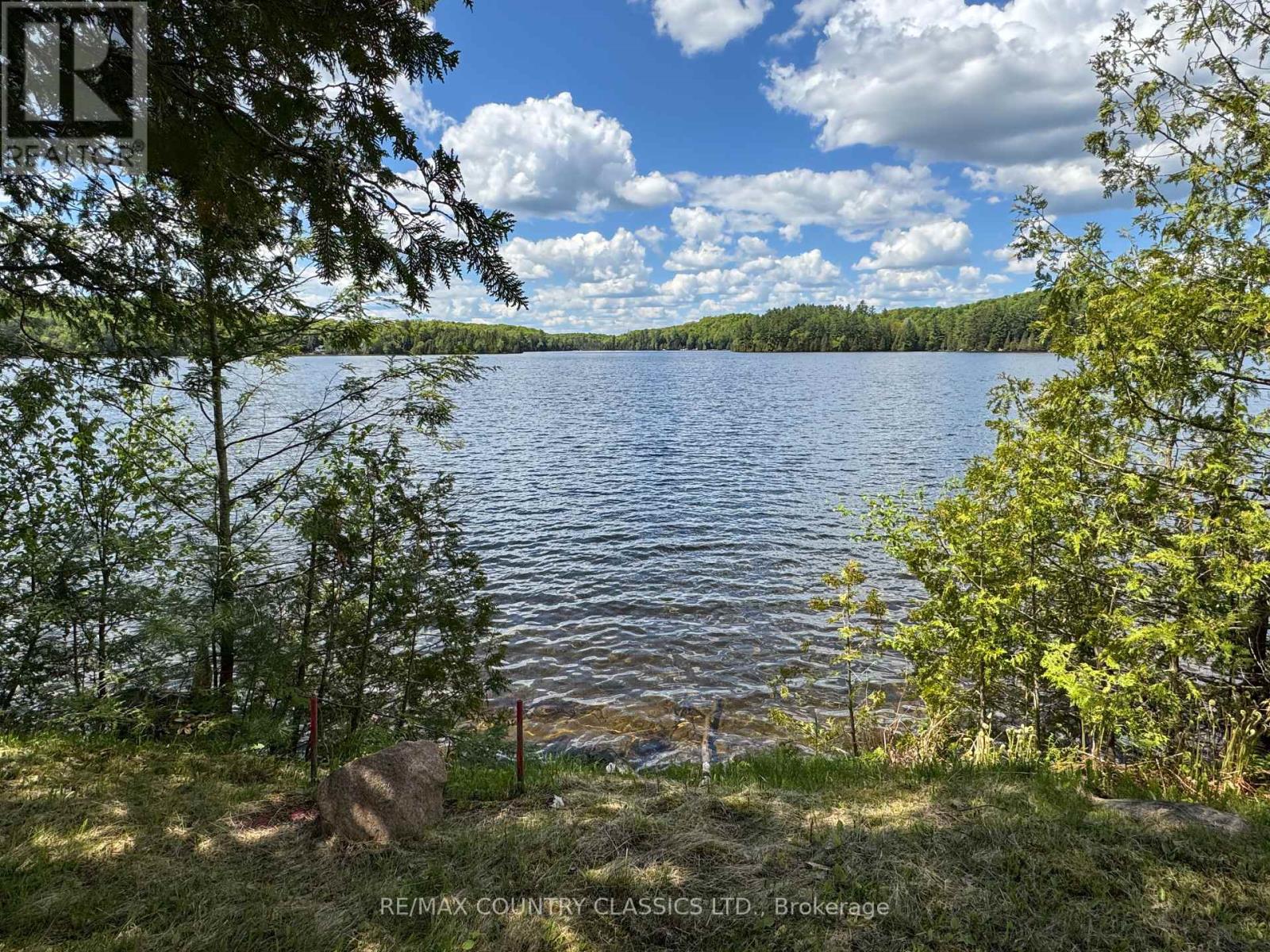 27241 Highway 28 S, Highlands East, Ontario  K0L 1M0 - Photo 5 - X12384271