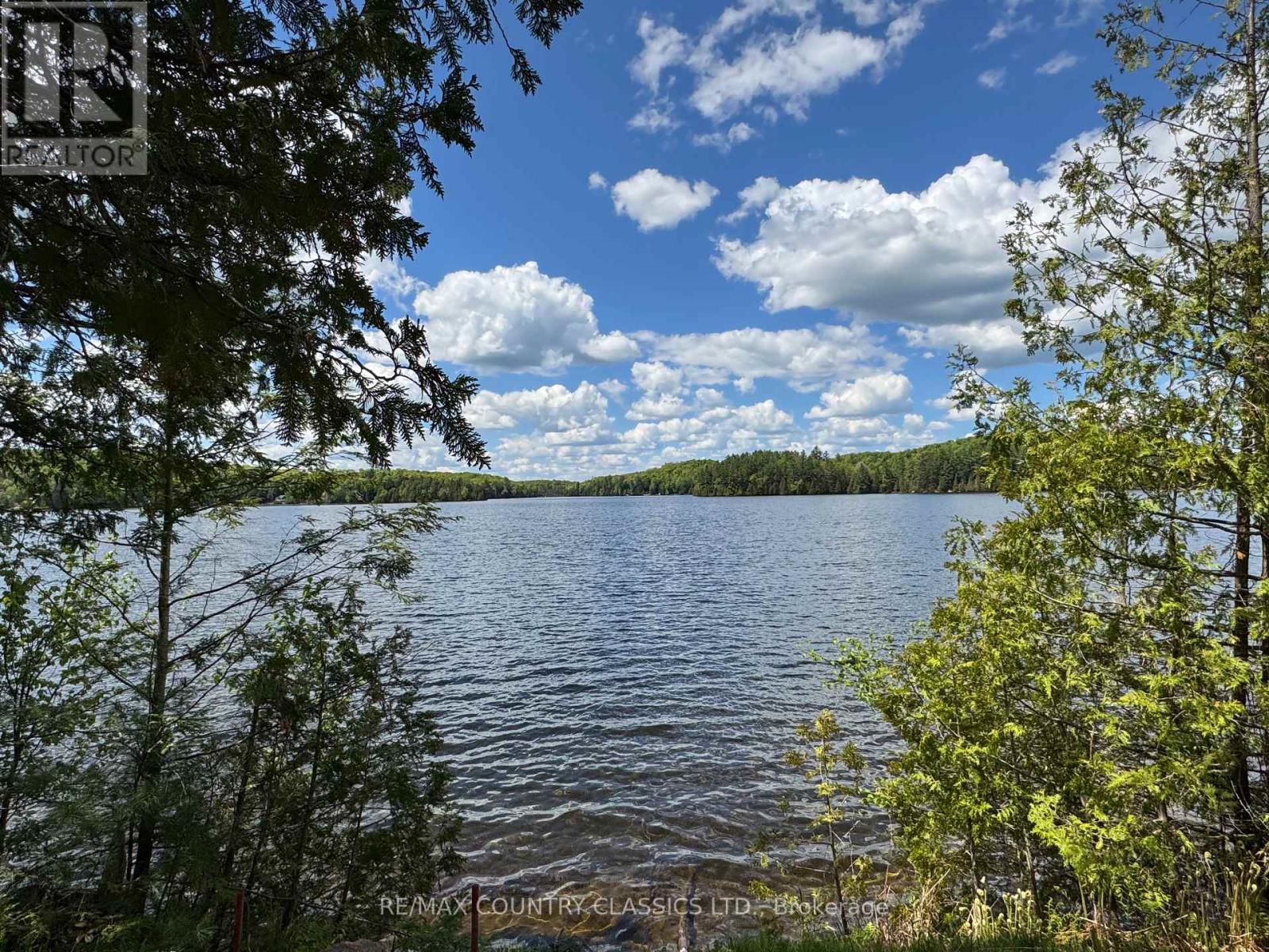 27241 Highway 28 S, Highlands East, Ontario  K0L 1M0 - Photo 6 - X12384271