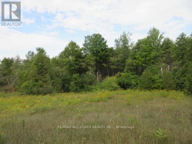 0 Fairbairn Road, Kawartha Lakes, Ontario  K0M 1A0 - Photo 5 - X12384436