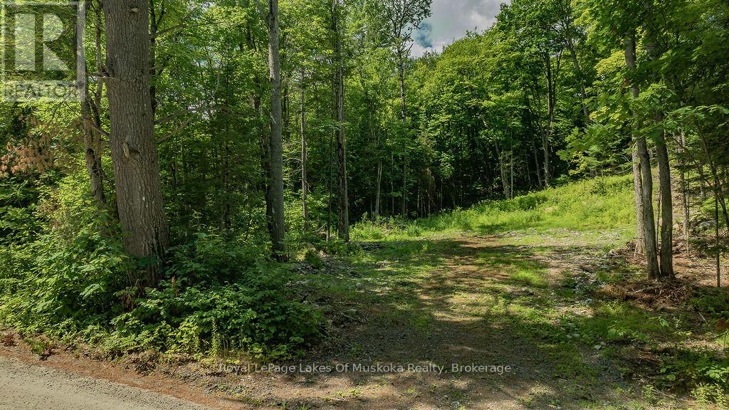 0000 Ril Lake Road, Lake Of Bays, Ontario  P0B 1A0 - Photo 4 - X12384421