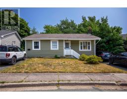 36 Wicklow Street, St John'S, Ca