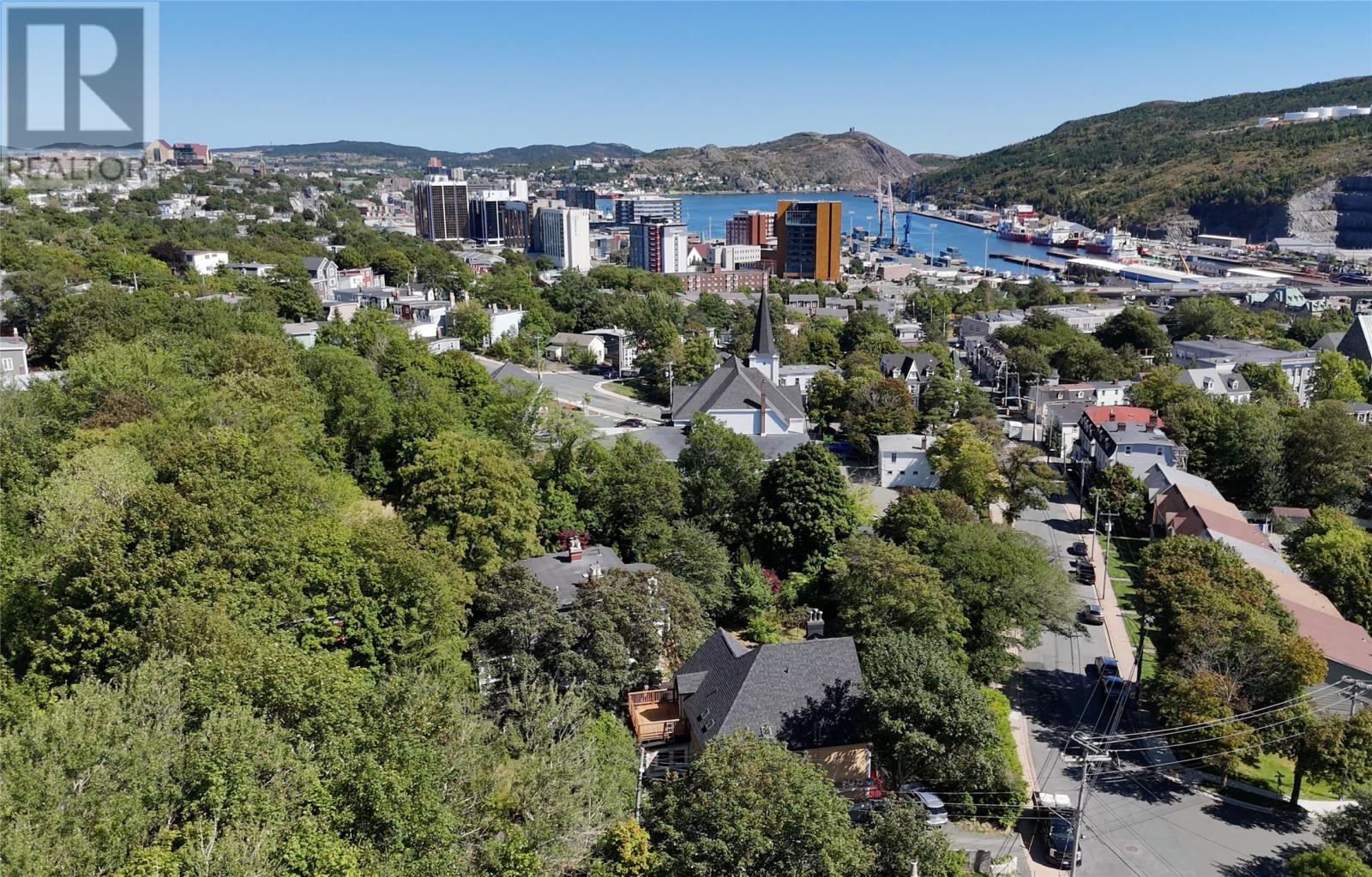 146 Hamilton Avenue, St. John's, Newfoundland & Labrador  A1E 1J3 - Photo 50 - 1290042