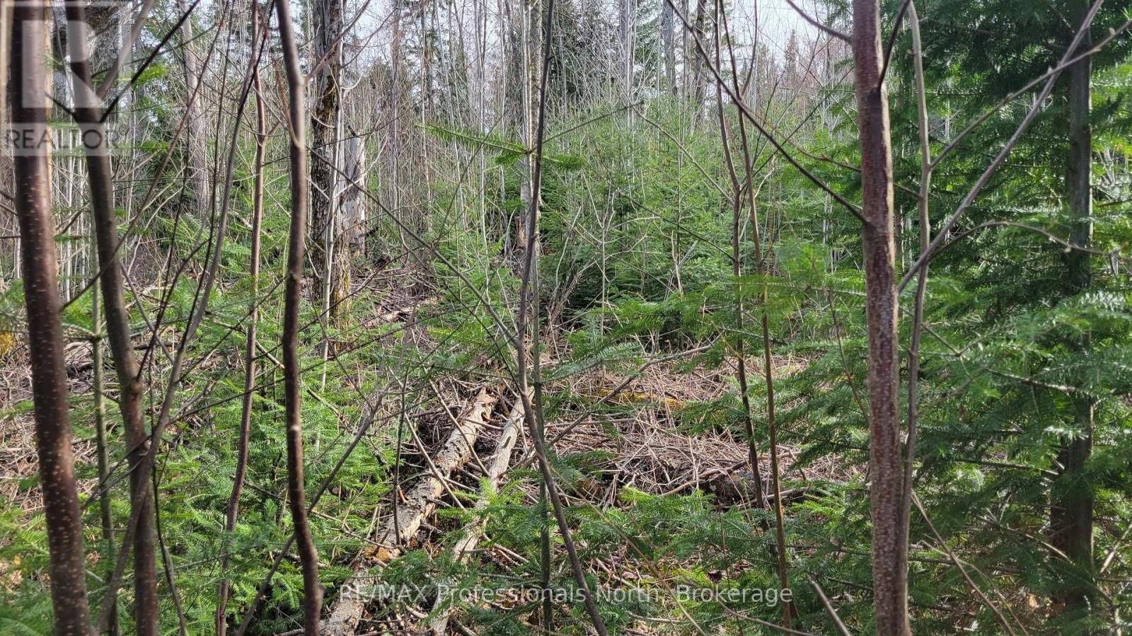 Pcl 20438 & 29803 Upper Walker Lake Rd Road, Lake Of Bays, Ontario  P1H 2J6 - Photo 3 - X12039113