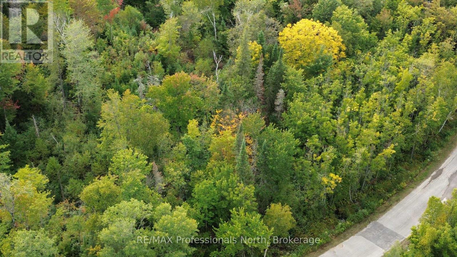 Pcl 20438 & 29803 Upper Walker Lake Rd Road, Lake Of Bays, Ontario  P1H 2J6 - Photo 8 - X12039113