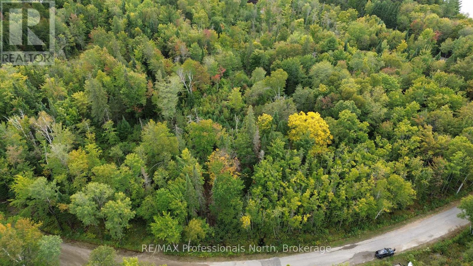 Pcl 20438 & 29803 Upper Walker Lake Rd Road, Lake Of Bays, Ontario  P1H 2J6 - Photo 9 - X12039113