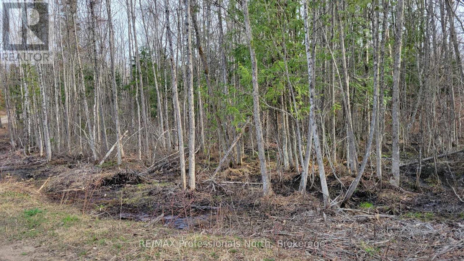 Pcl 20438 & 29803 Upper Walker Lake Rd Road, Lake Of Bays, Ontario  P1H 2J6 - Photo 4 - X12039113