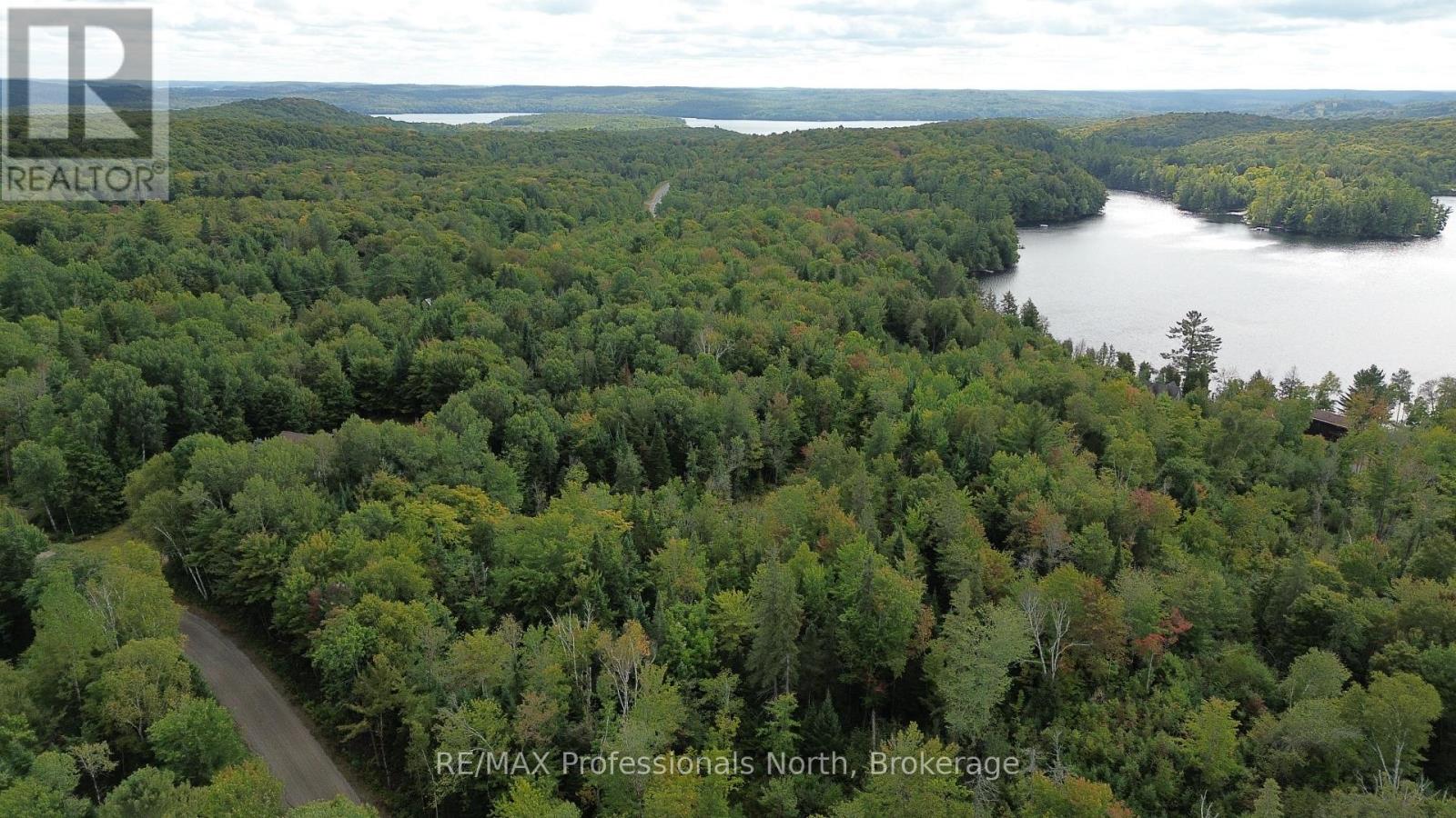 Pcl 20438 & 29803 Upper Walker Lake Rd Road, Lake Of Bays, Ontario  P1H 2J6 - Photo 14 - X12039113