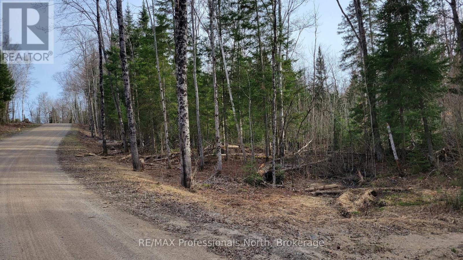 Pcl 20438 & 29803 Upper Walker Lake Rd Road, Lake Of Bays, Ontario  P1H 2J6 - Photo 6 - X12039113