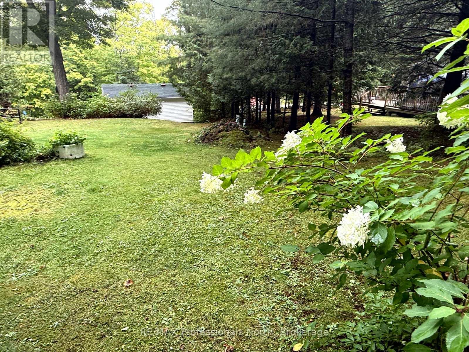 1039 Grace River Road, Highlands East, Ontario  K0L 3C0 - Photo 27 - X12384567