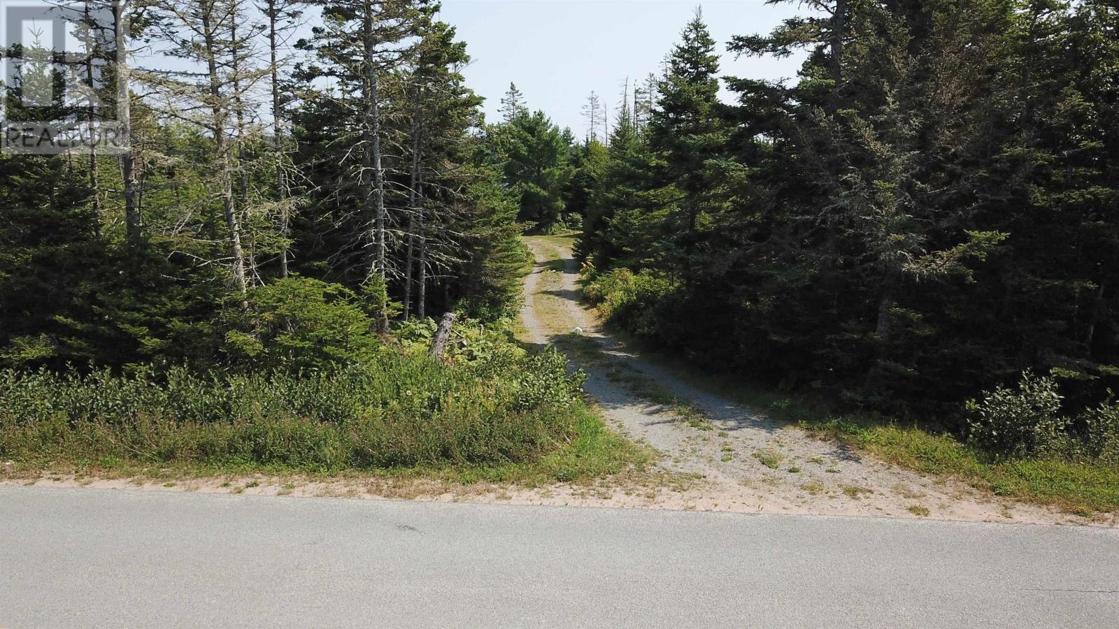 Property at 608 Mushaboom Road image 5