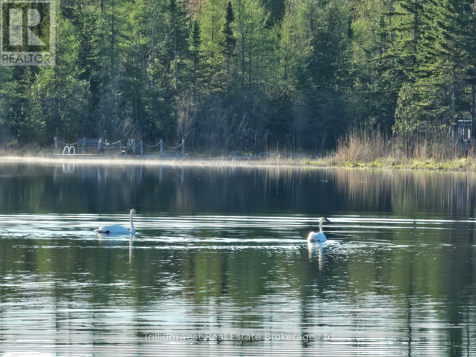 133596 Wilcox Lake Road, Grey Highlands, Ontario  N0C 1E0 - Photo 42 - X12384780