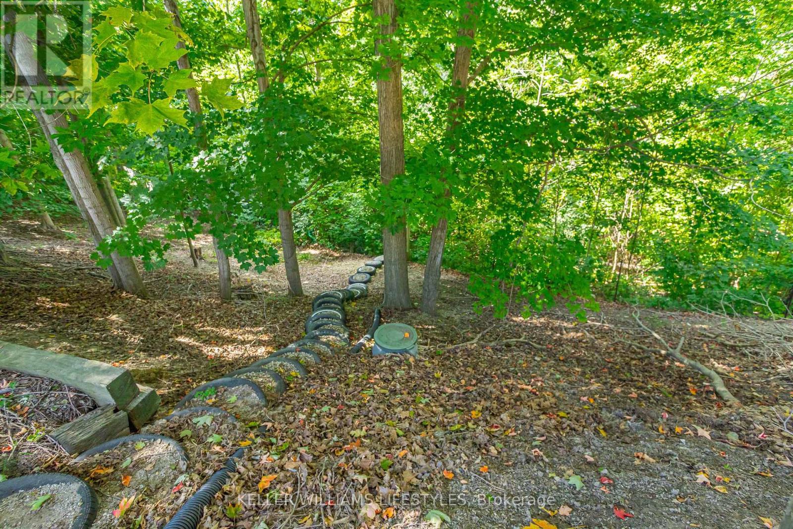 195 Queen Street, North Middlesex (Ailsa Craig), Ontario  N0M 1A0 - Photo 37 - X12384805