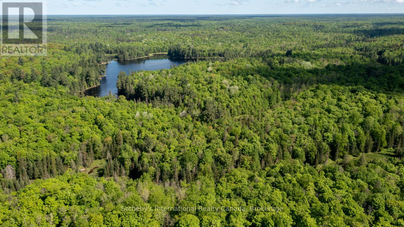 30 Joes Road, Whitestone, Ontario  P0A 1G0 - Photo 20 - X12384892