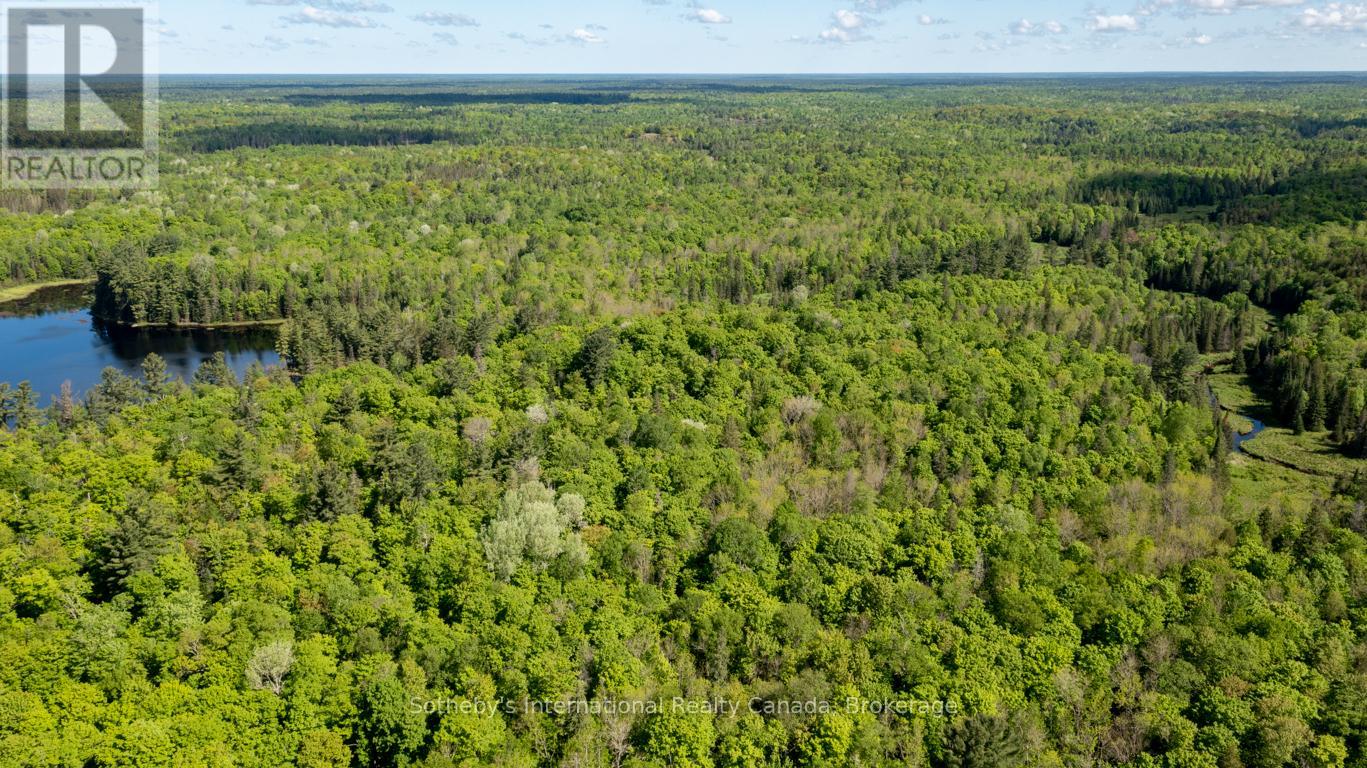 30 Joes Road, Whitestone, Ontario  P0A 1G0 - Photo 24 - X12384892