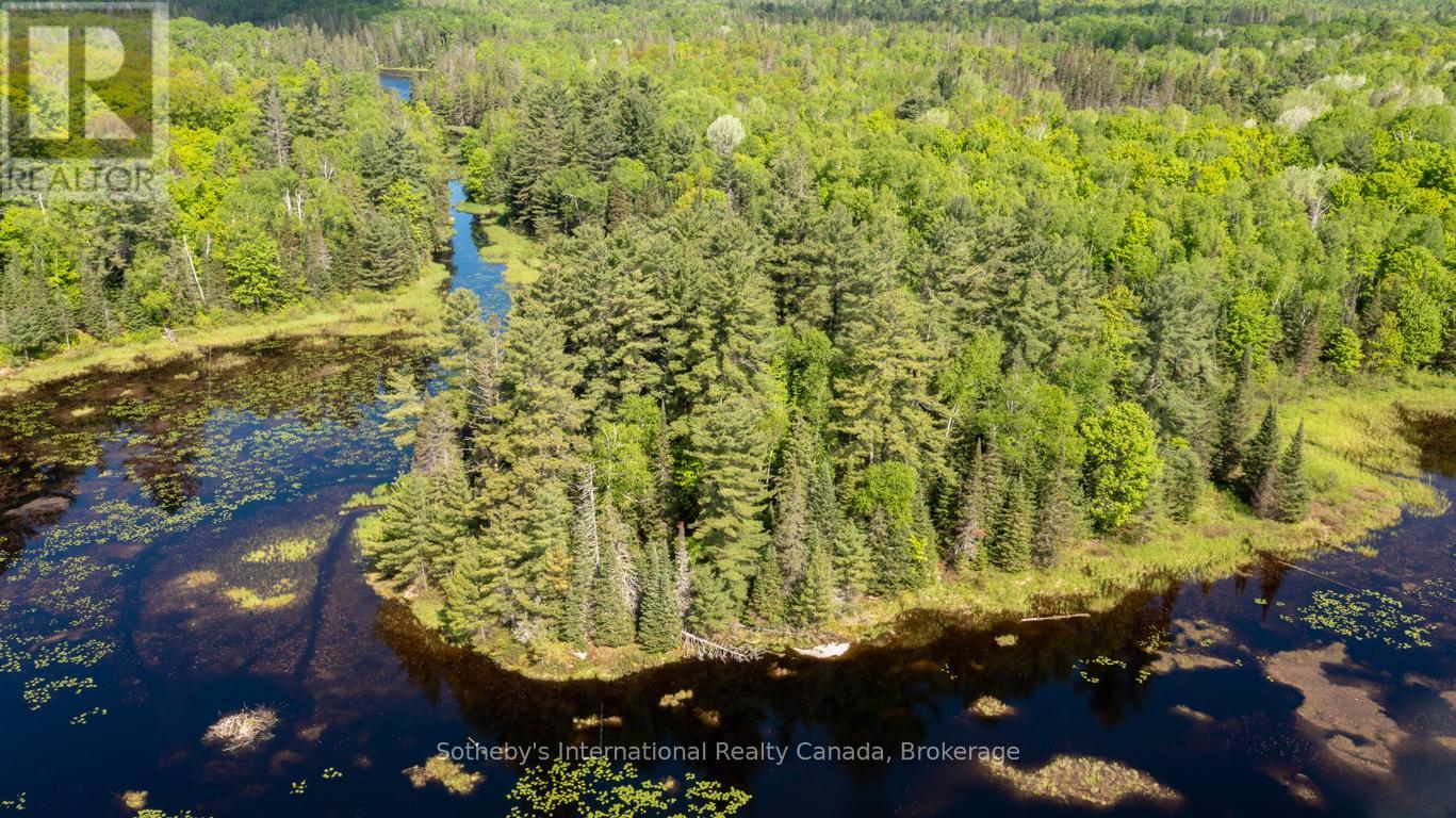 30 Joes Road, Whitestone, Ontario  P0A 1G0 - Photo 26 - X12384892