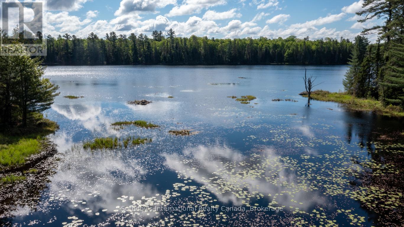 30 Joes Road, Whitestone, Ontario  P0A 1G0 - Photo 29 - X12384892