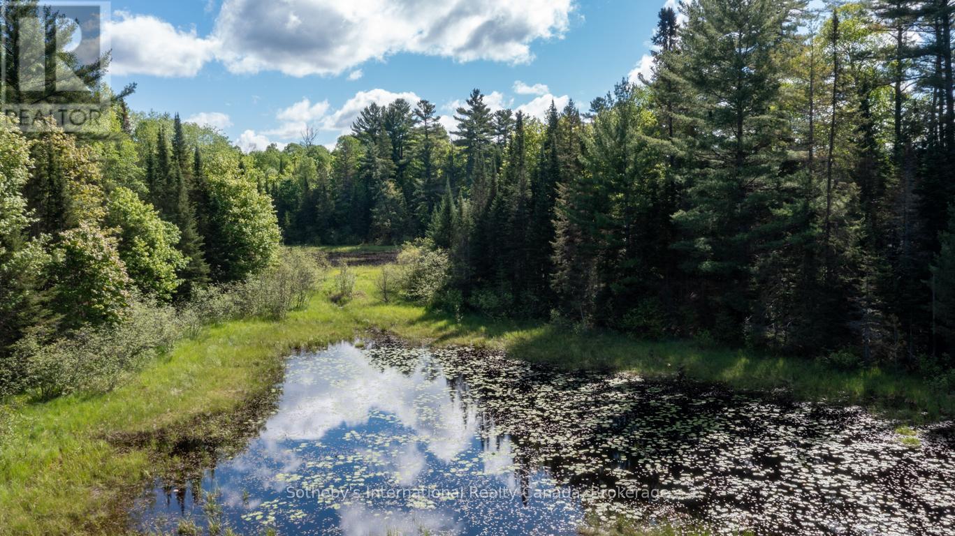 30 Joes Road, Whitestone, Ontario  P0A 1G0 - Photo 30 - X12384892
