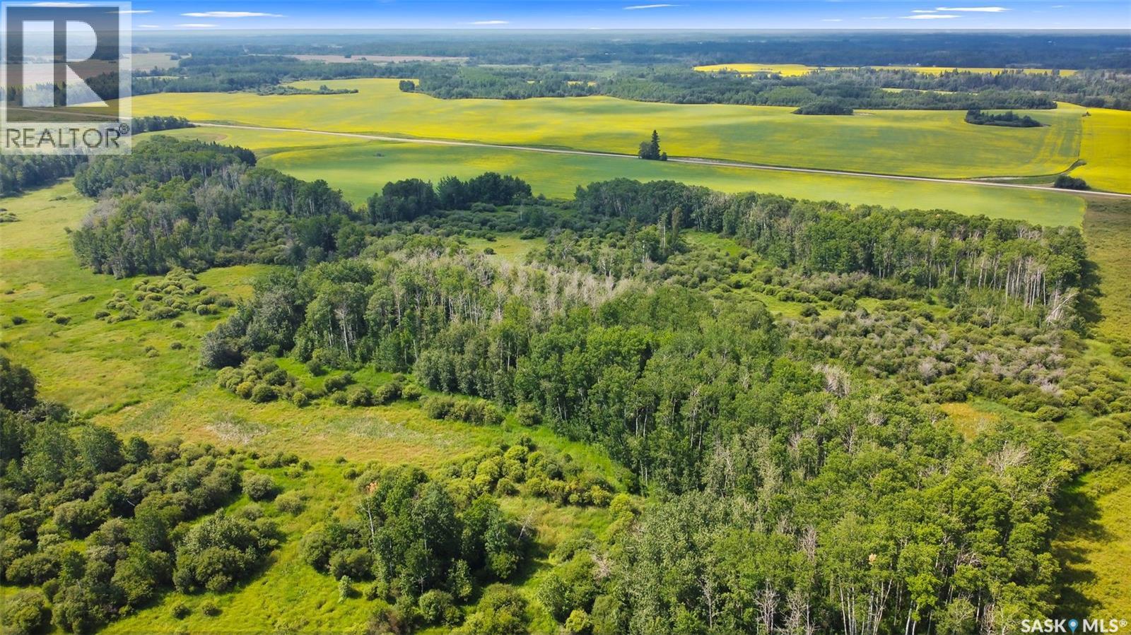 Hunting & Recreation Quarter Near Endeavour, Sk, Preeceville Rm No. 334, Saskatchewan  S0A 0A2 - Photo 10 - SK017595