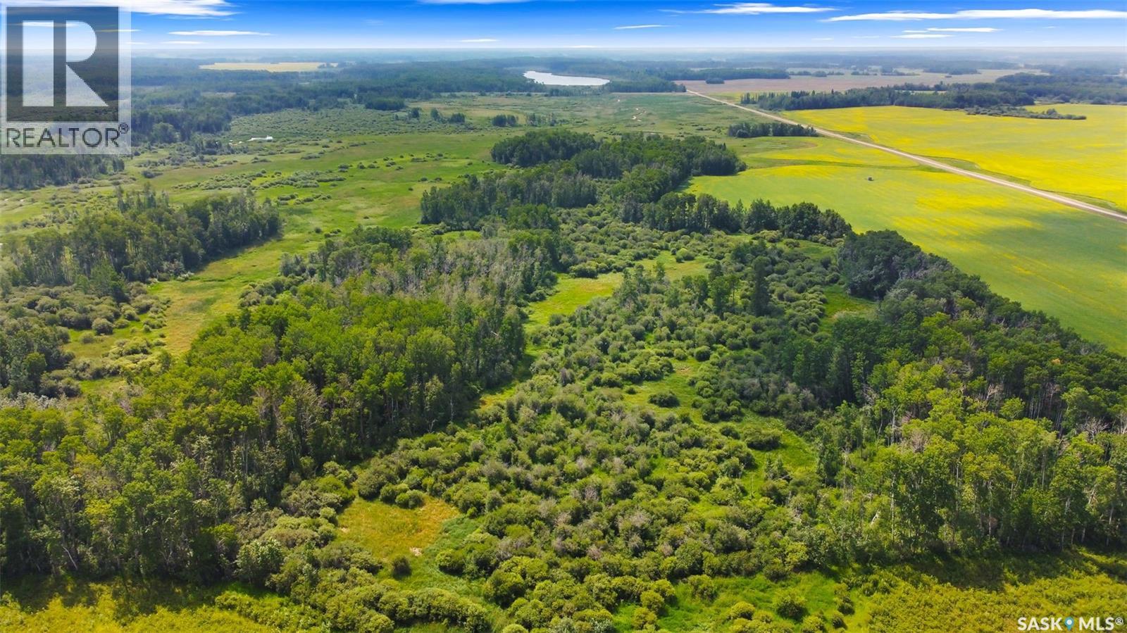Hunting & Recreation Quarter Near Endeavour, Sk, Preeceville Rm No. 334, Saskatchewan  S0A 0A2 - Photo 7 - SK017595