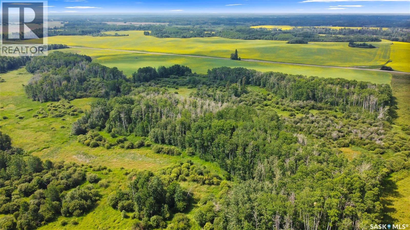 Hunting & Recreation Quarter Near Endeavour, Sk, Preeceville Rm No. 334, Saskatchewan  S0A 0A2 - Photo 9 - SK017595