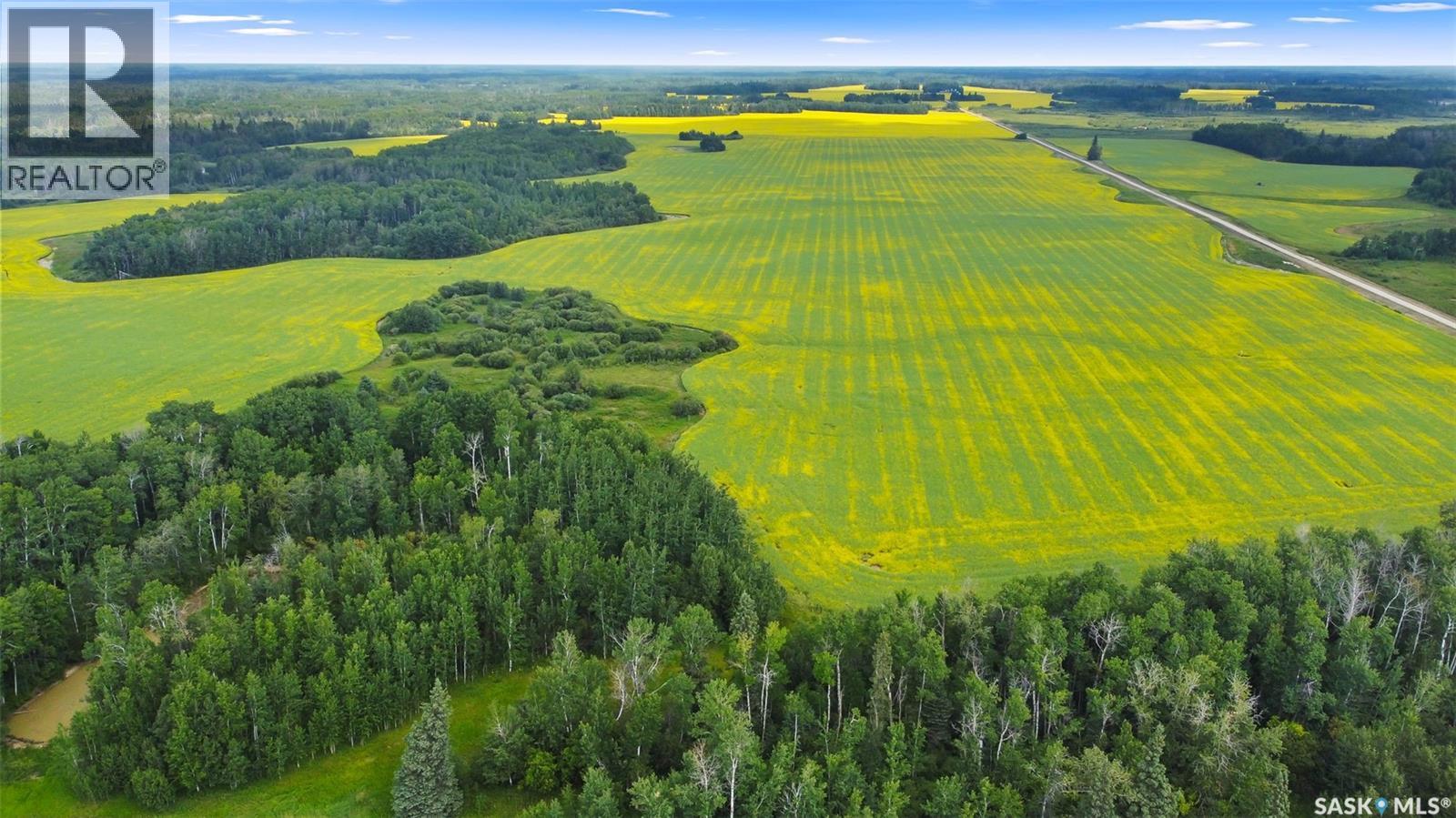 2 Grainland Quarters With Yard Site Near Endeavour, Preeceville Rm No. 334, Saskatchewan  S0A 0A2 - Photo 9 - SK017592