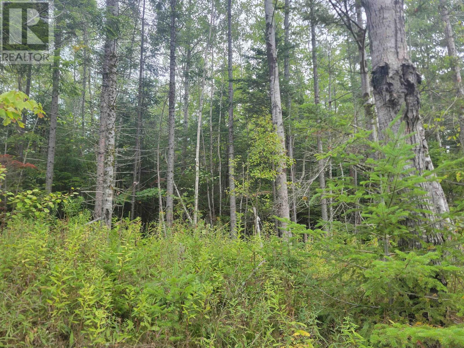 Lot 1 Wilson Road, Upper Rawdon, Nova Scotia  B0N 2N0 - Photo 10 - 202522563