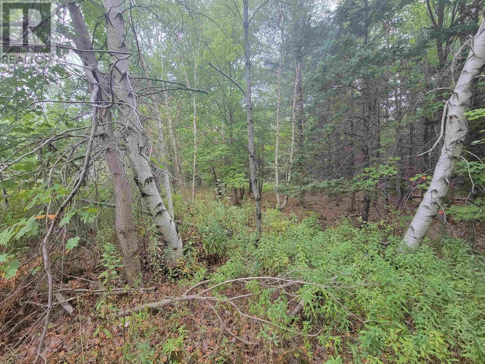 Lot 1 Wilson Road, Upper Rawdon, Nova Scotia  B0N 2N0 - Photo 13 - 202522563