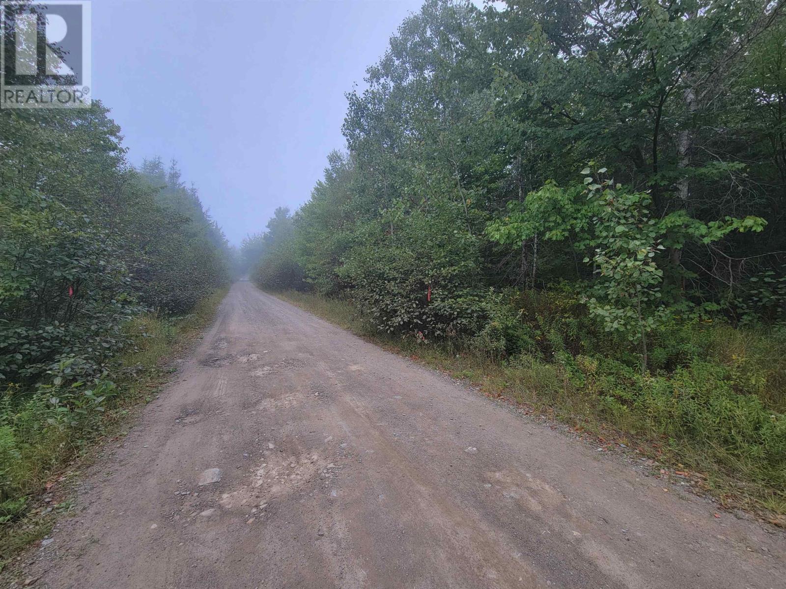 Lot 1 Wilson Road, Upper Rawdon, Nova Scotia  B0N 2N0 - Photo 14 - 202522563