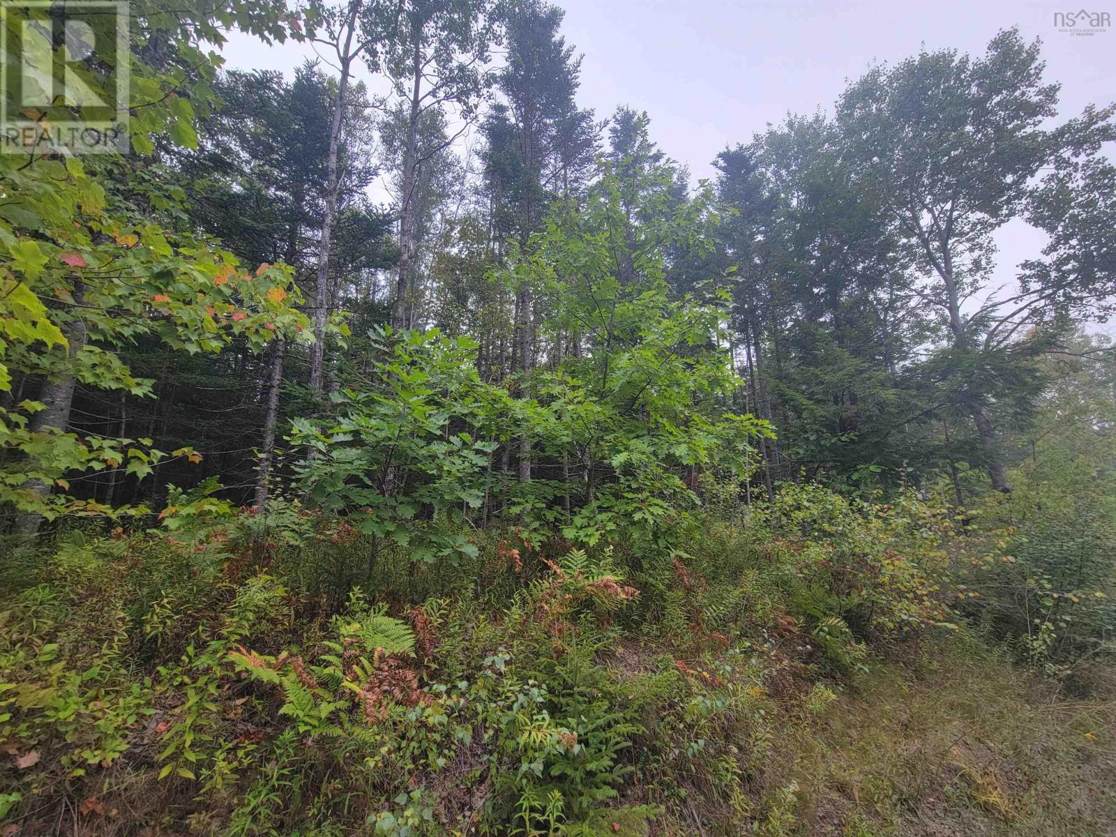 Lot 1 Wilson Road, Upper Rawdon, Nova Scotia  B0N 2N0 - Photo 3 - 202522563