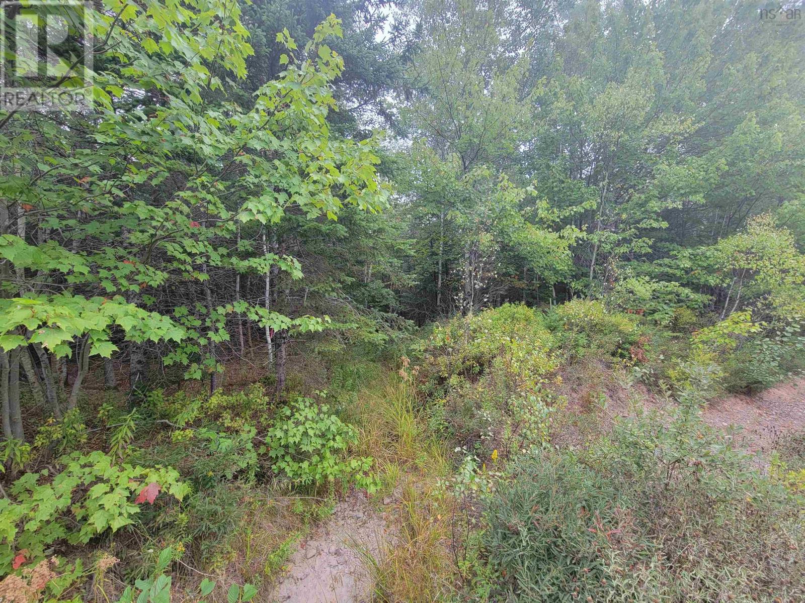Lot 1 Wilson Road, Upper Rawdon, Nova Scotia  B0N 2N0 - Photo 4 - 202522563