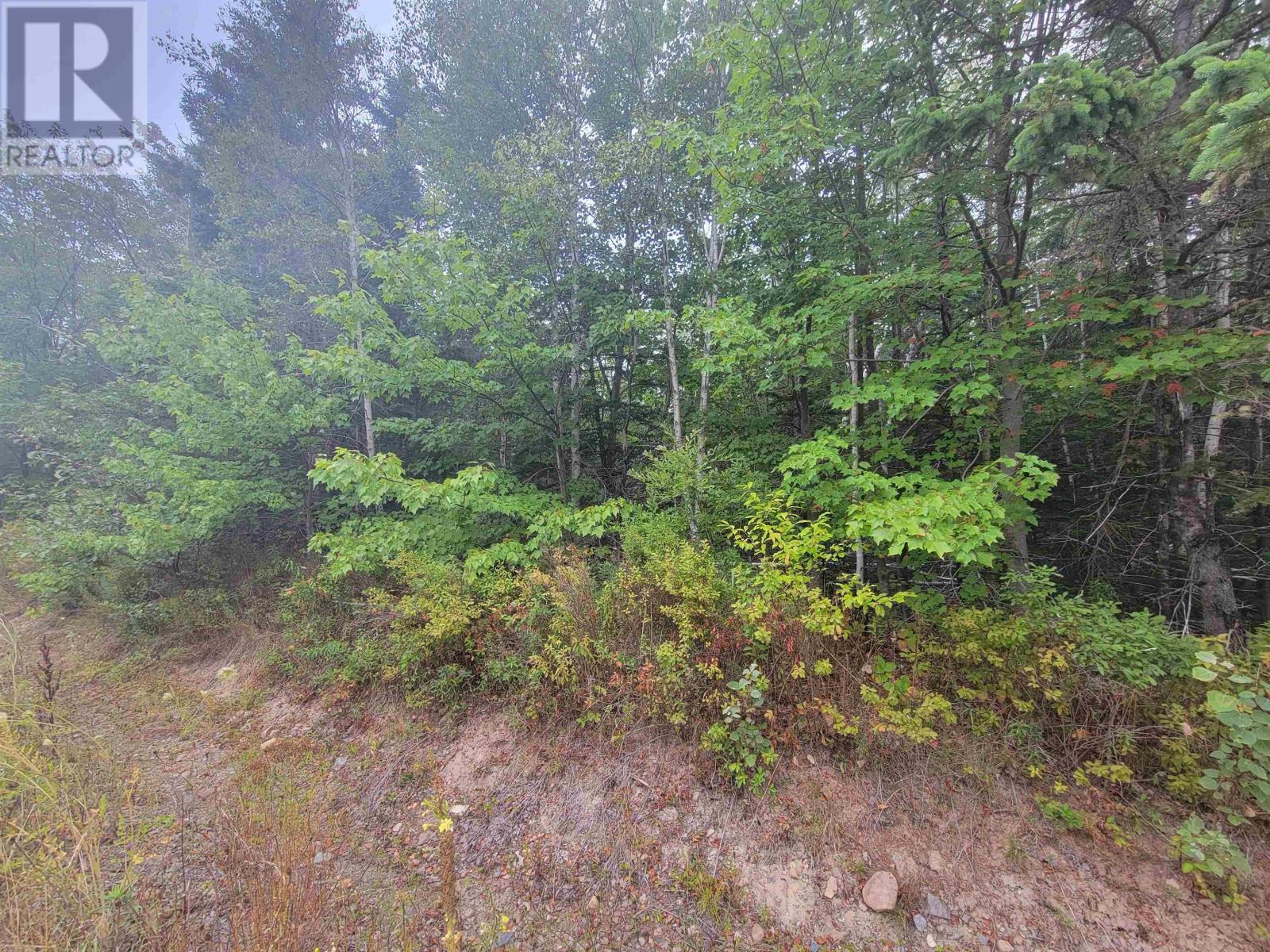 Lot 1 Wilson Road, Upper Rawdon, Nova Scotia  B0N 2N0 - Photo 5 - 202522563