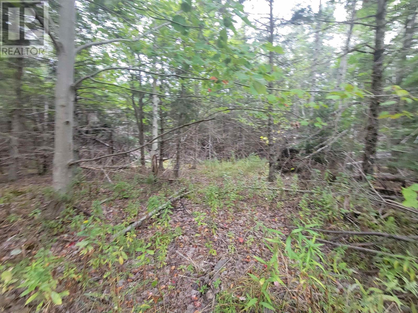 Lot 1 Wilson Road, Upper Rawdon, Nova Scotia  B0N 2N0 - Photo 7 - 202522563