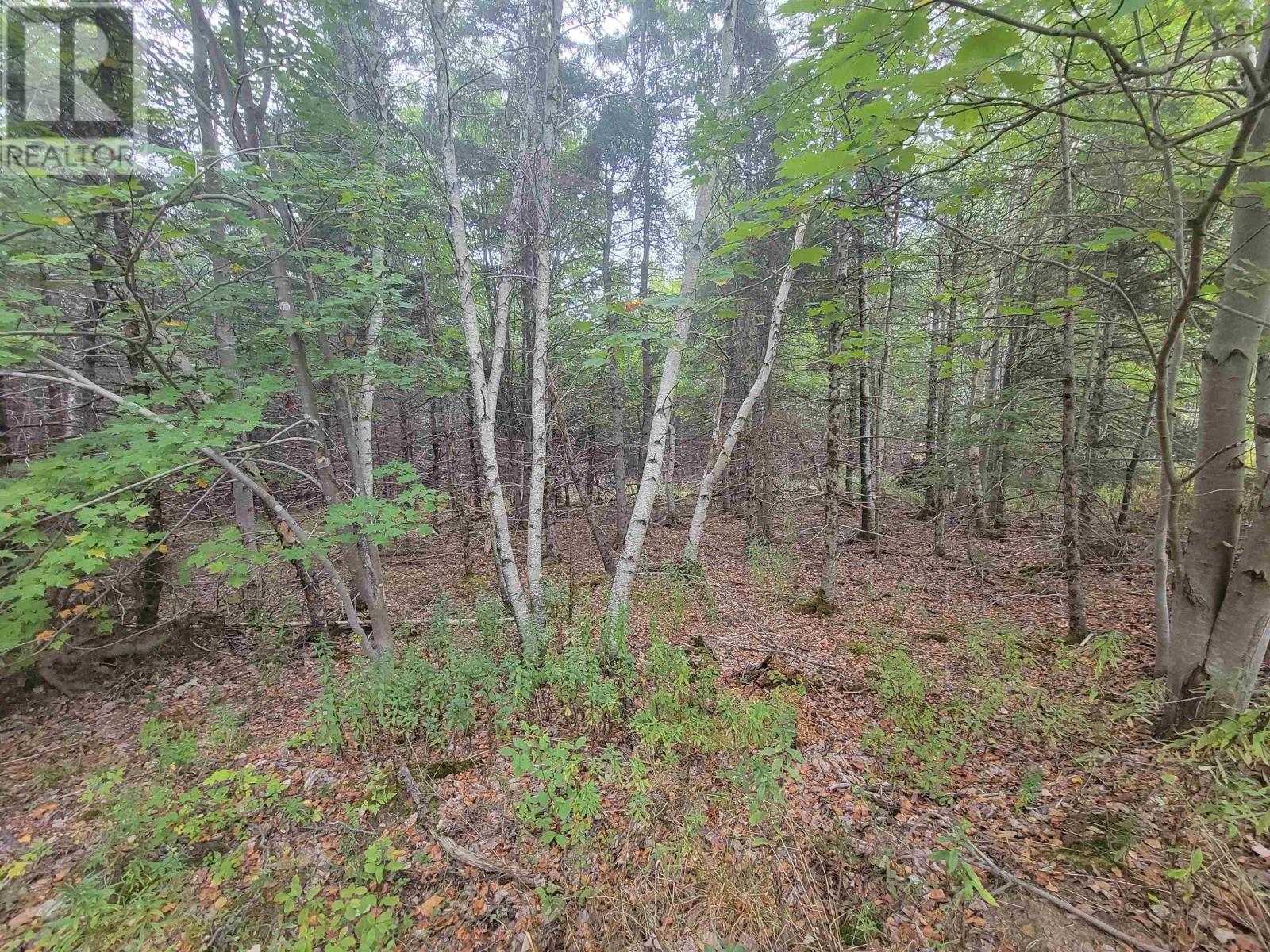 Lot 1 Wilson Road, Upper Rawdon, Nova Scotia  B0N 2N0 - Photo 8 - 202522563