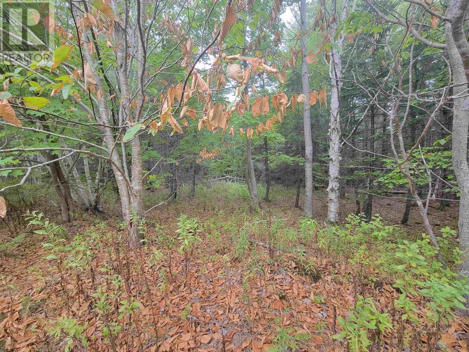 Lot 1 Wilson Road, Upper Rawdon, Nova Scotia  B0N 2N0 - Photo 9 - 202522563