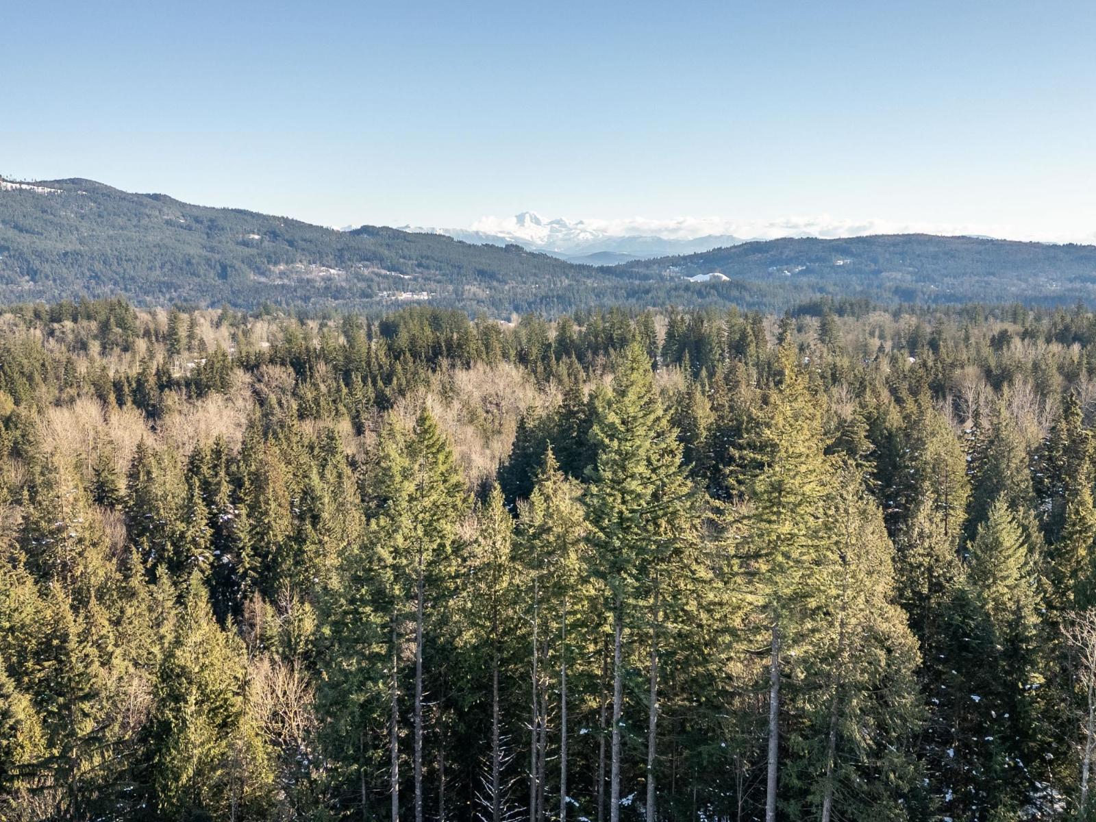 12348 Carr Street, Mission, British Columbia  V4S 1B9 - Photo 6 - R3043514