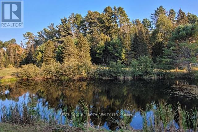 669 Rye Road, Parry Sound, Ontario  P0A 1X0 - Photo 36 - X12353410