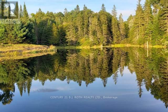 669 Rye Road, Parry Sound, Ontario  P0A 1X0 - Photo 34 - X12353410